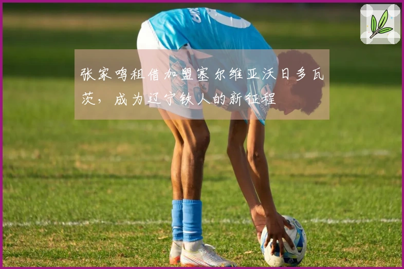 张家鸣租借加盟塞尔维亚沃日多瓦茨，成为辽宁铁人的新征程