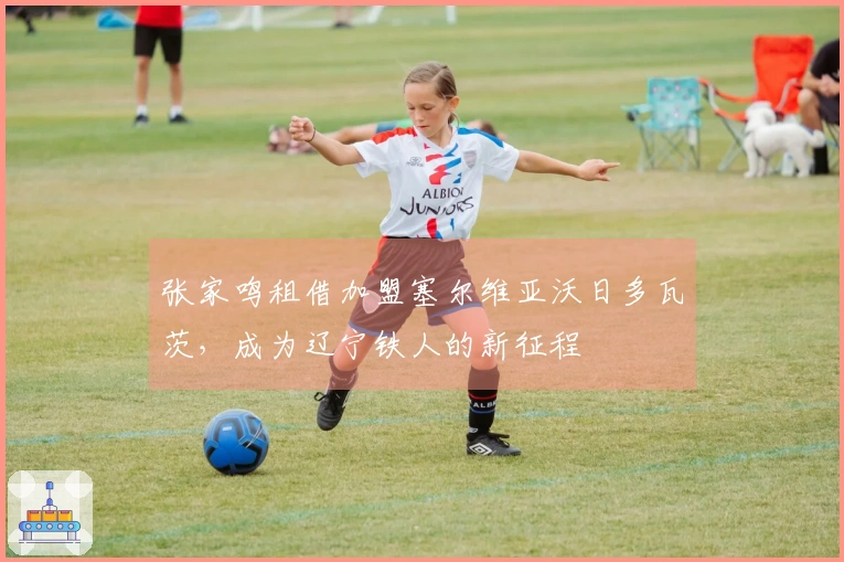 张家鸣租借加盟塞尔维亚沃日多瓦茨，成为辽宁铁人的新征程